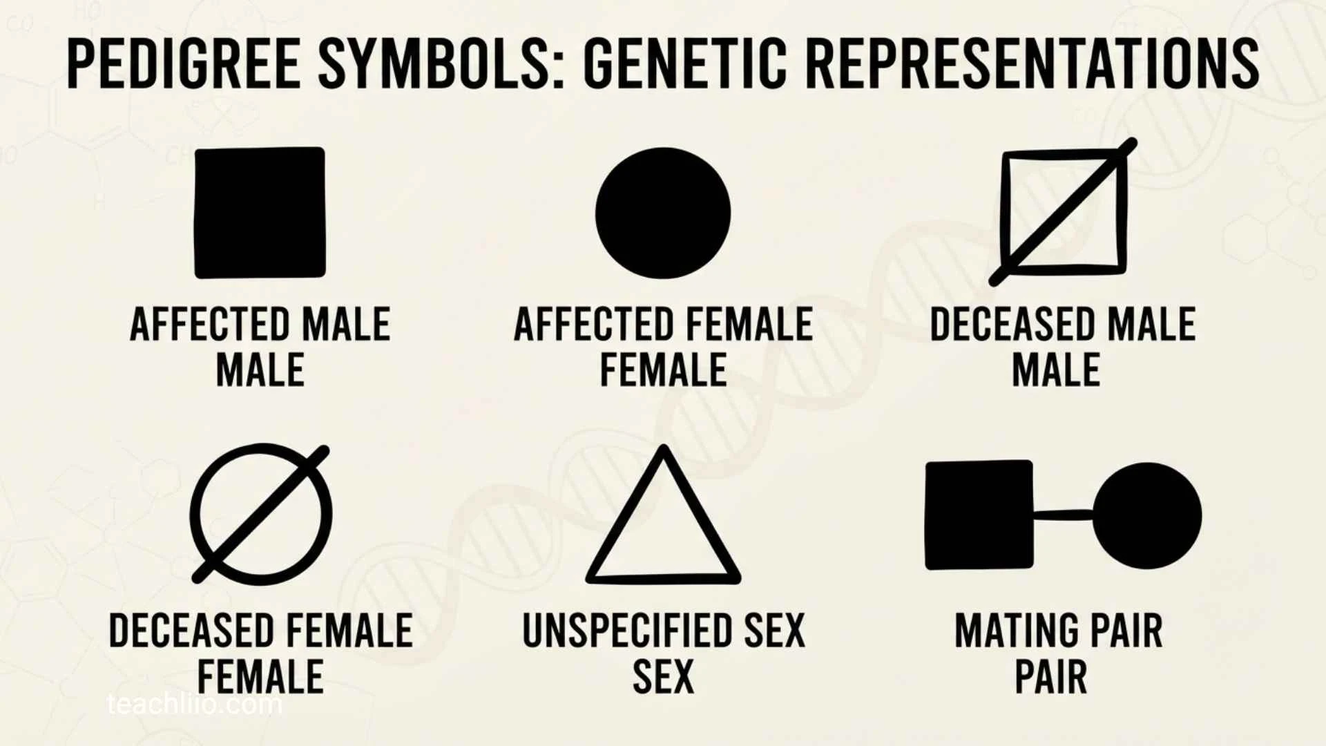 150 + Pedigree Symbols and Their Meanings: Easy Guide